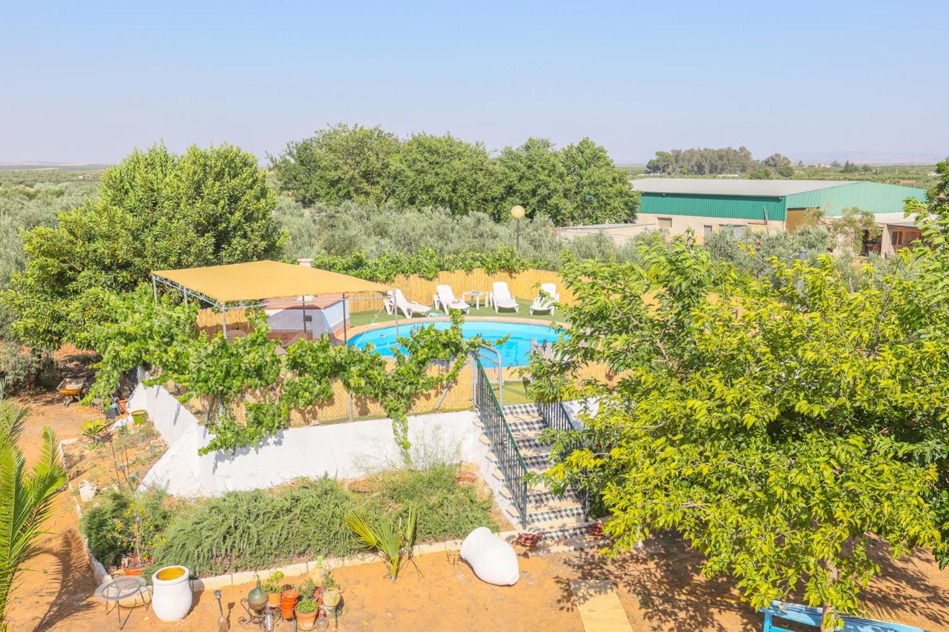 Casa Rural Los Miradores Marchena  Eksteriør billede