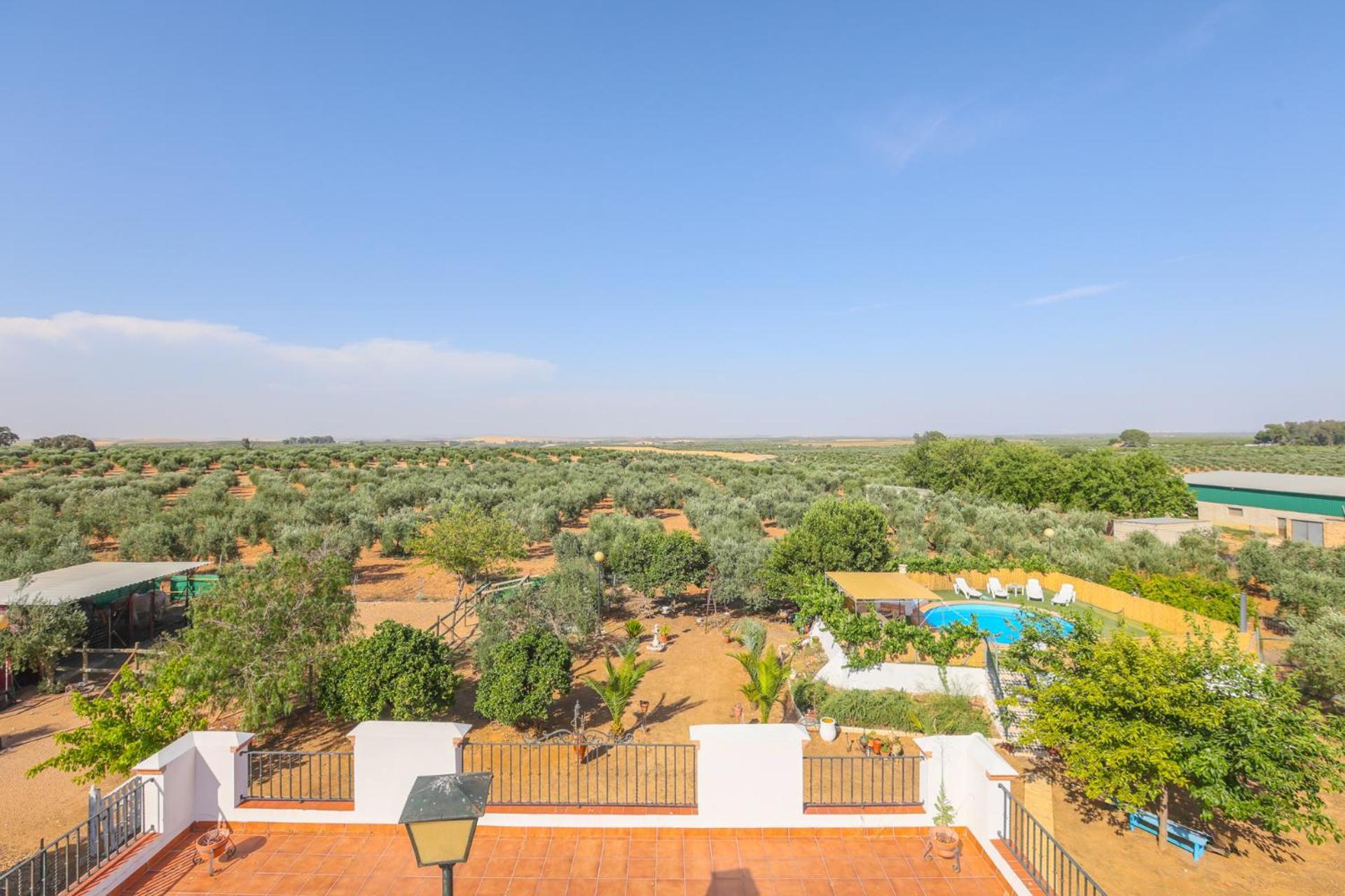 Casa Rural Los Miradores Marchena  Eksteriør billede
