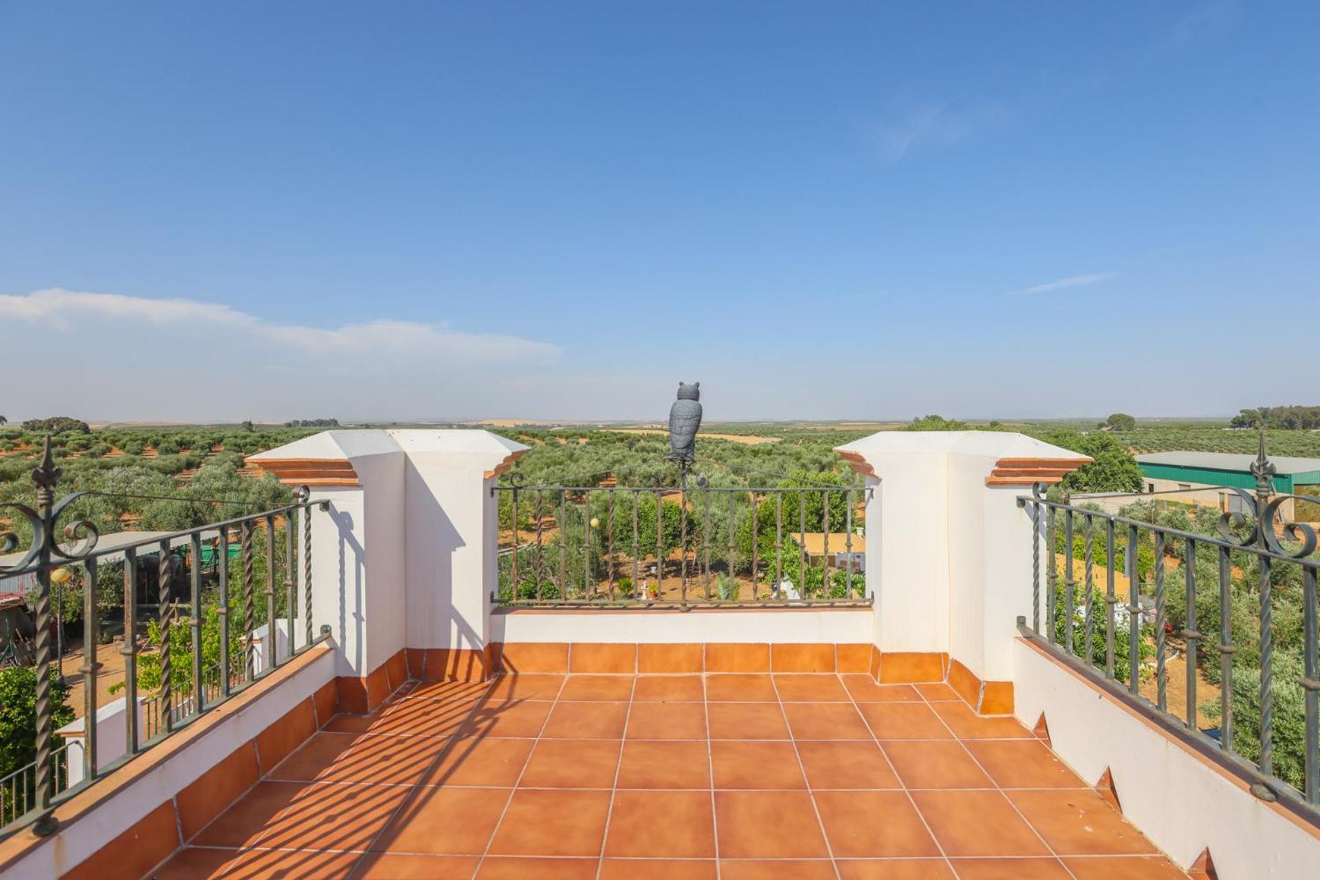 Casa Rural Los Miradores Marchena  Eksteriør billede