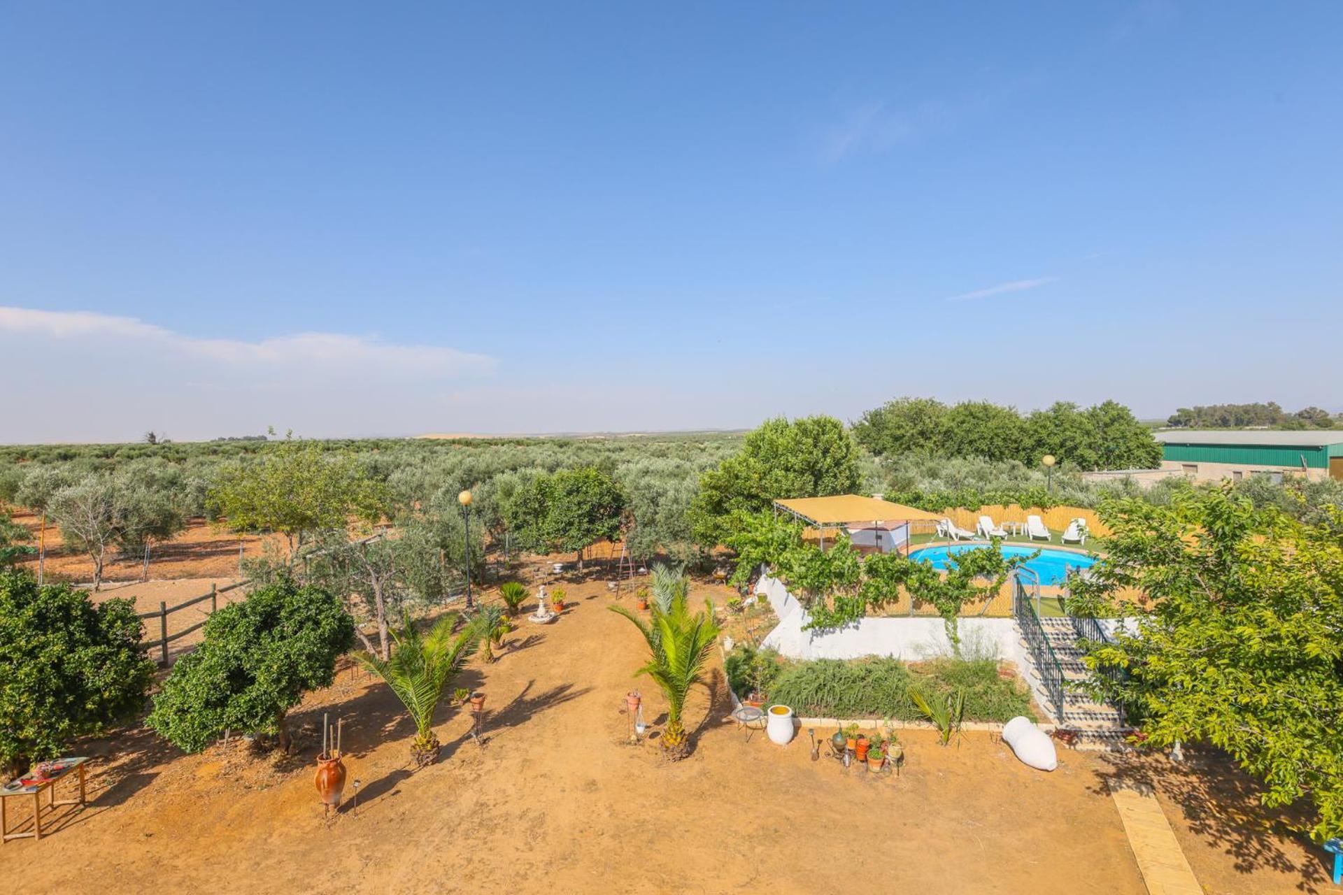 Casa Rural Los Miradores Marchena  Eksteriør billede