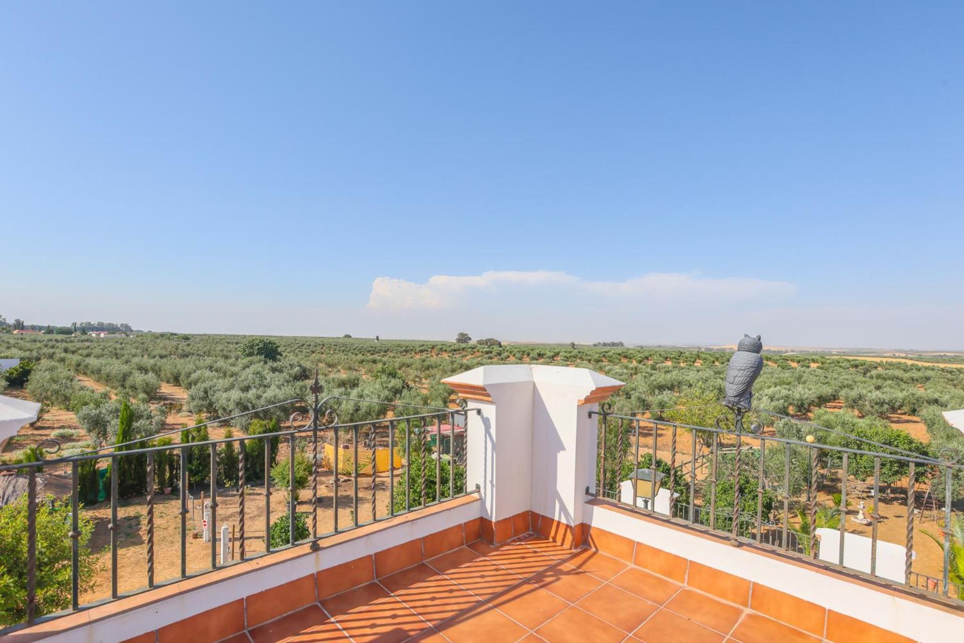 Casa Rural Los Miradores Marchena  Eksteriør billede