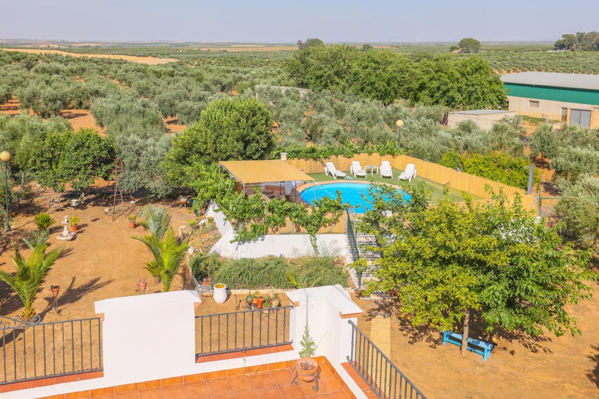Casa Rural Los Miradores Marchena  Eksteriør billede